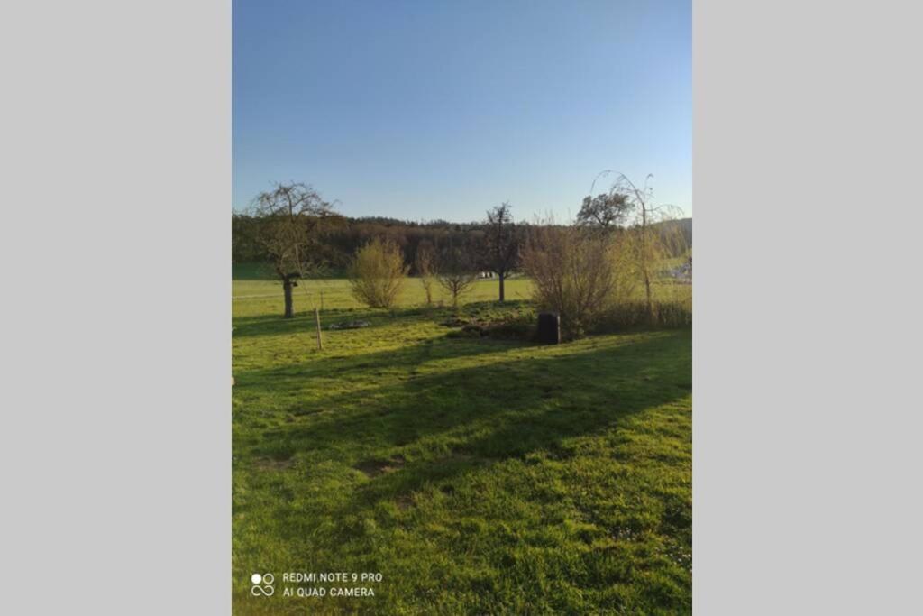Schoene Helle Ferienwohnung In Waldnaehe Berching Esterno foto