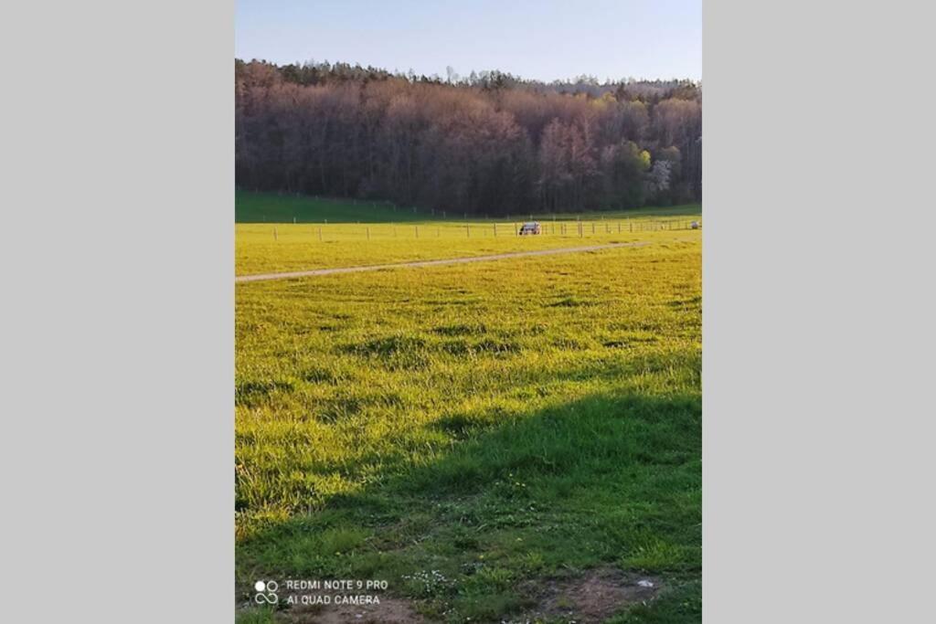 Schoene Helle Ferienwohnung In Waldnaehe Berching Esterno foto
