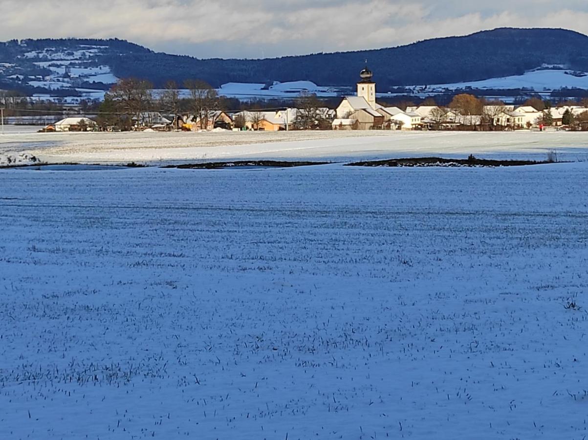 Schoene Helle Ferienwohnung In Waldnaehe Berching Esterno foto